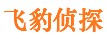 上海市调查公司